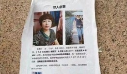 平舆县爆料小三案件最新,揭秘婚外情风波背后的惊人真相